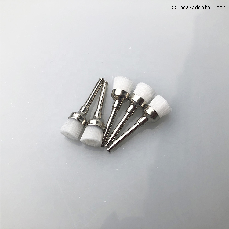 Dental Latch Style Flat White Bristle Prophy Brush Buy Prophy Brush