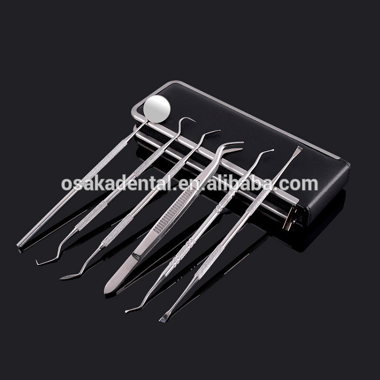 Stainless Steel Dental Instrument of 6pcs one set/Dental Kits